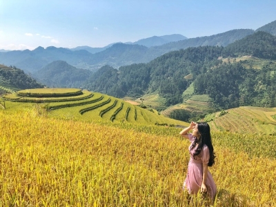 Đồi mâm xôi La Pán Tẩn - thiên đường sống ảo mùa lúa chín 