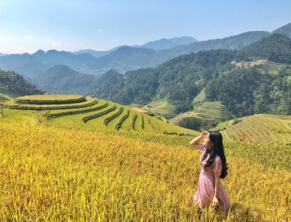 Đồi mâm xôi La Pán Tẩn - thiên đường sống ảo mùa lúa chín 